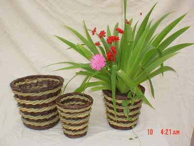 Flower Basket (DSC01514)