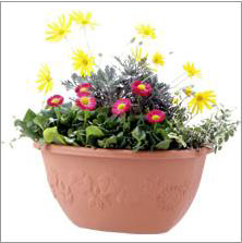Plastic Flower Pot